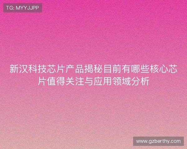 新汉科技芯片产品揭秘目前有哪些核心芯片值得关注与应用领域分析