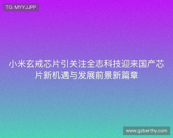 小米玄戒芯片引关注全志科技迎来国产芯片新机遇与发展前景新篇章